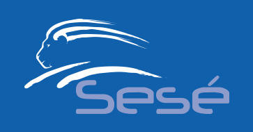 TRANS SESE SL (Grupo Sesé) logo